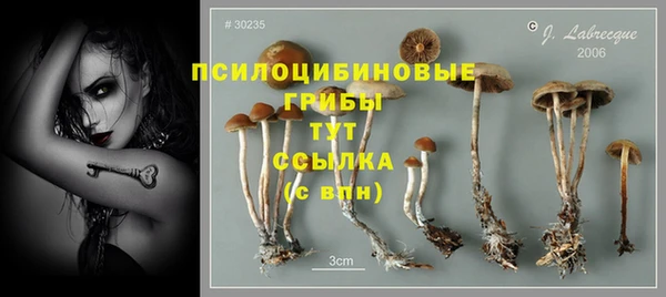 бошки Переславль-Залесский