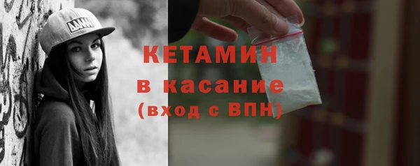 твердый Пересвет
