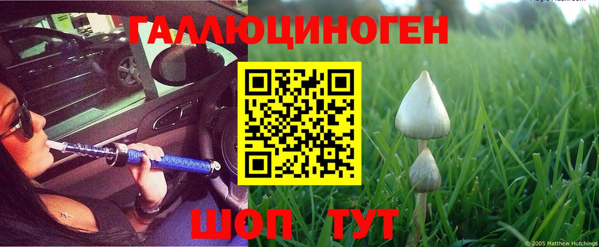 Псилоцибиновые грибы мухоморы  Галлюциногенные грибы прущие грибы  Сосновый Бор 