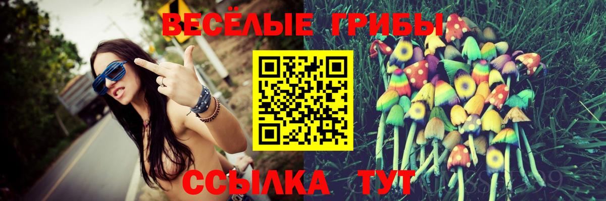 Галлюциногенные грибы Cubensis Сосновый Бор